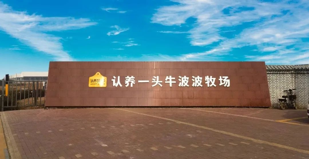 Scarlett went into the ranch of Adopt a Cow to actively promote project cooperation!