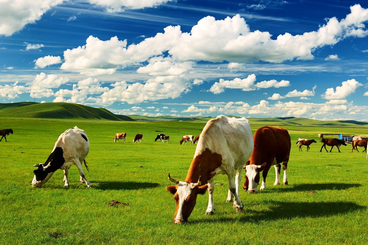 1714439594512240.jpg 7.jpg